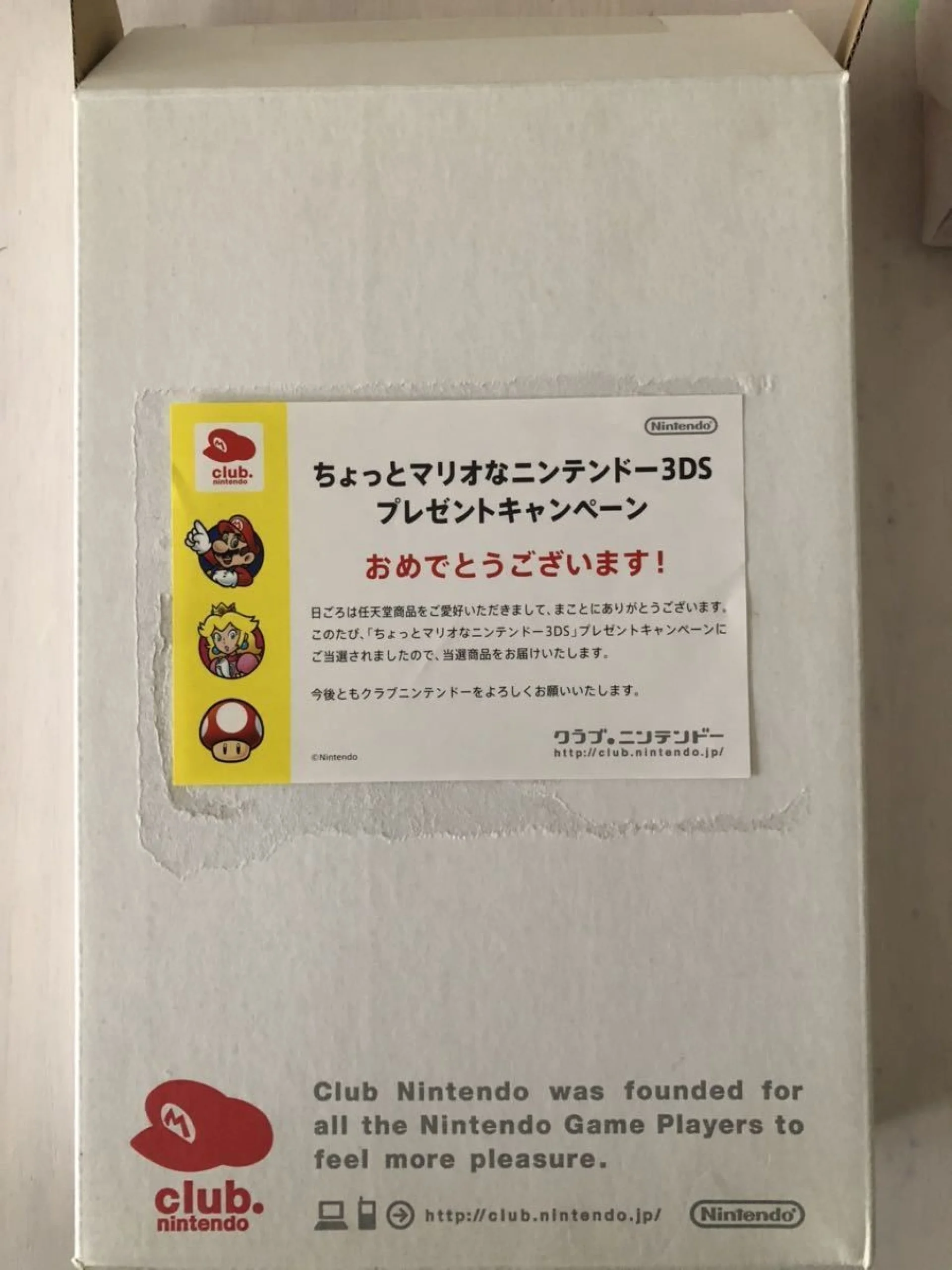 Nintendo 3DS Club Nintendo Chotto Super Kinoko Console [JP