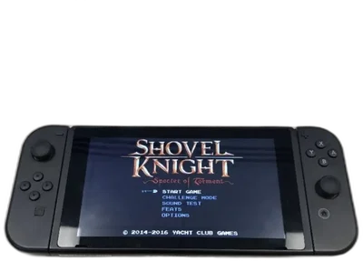 Nintendo Switch Early E-DEV Console