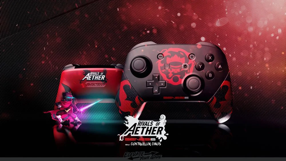  Nintendo Switch Rivals of Aether Pro Controller