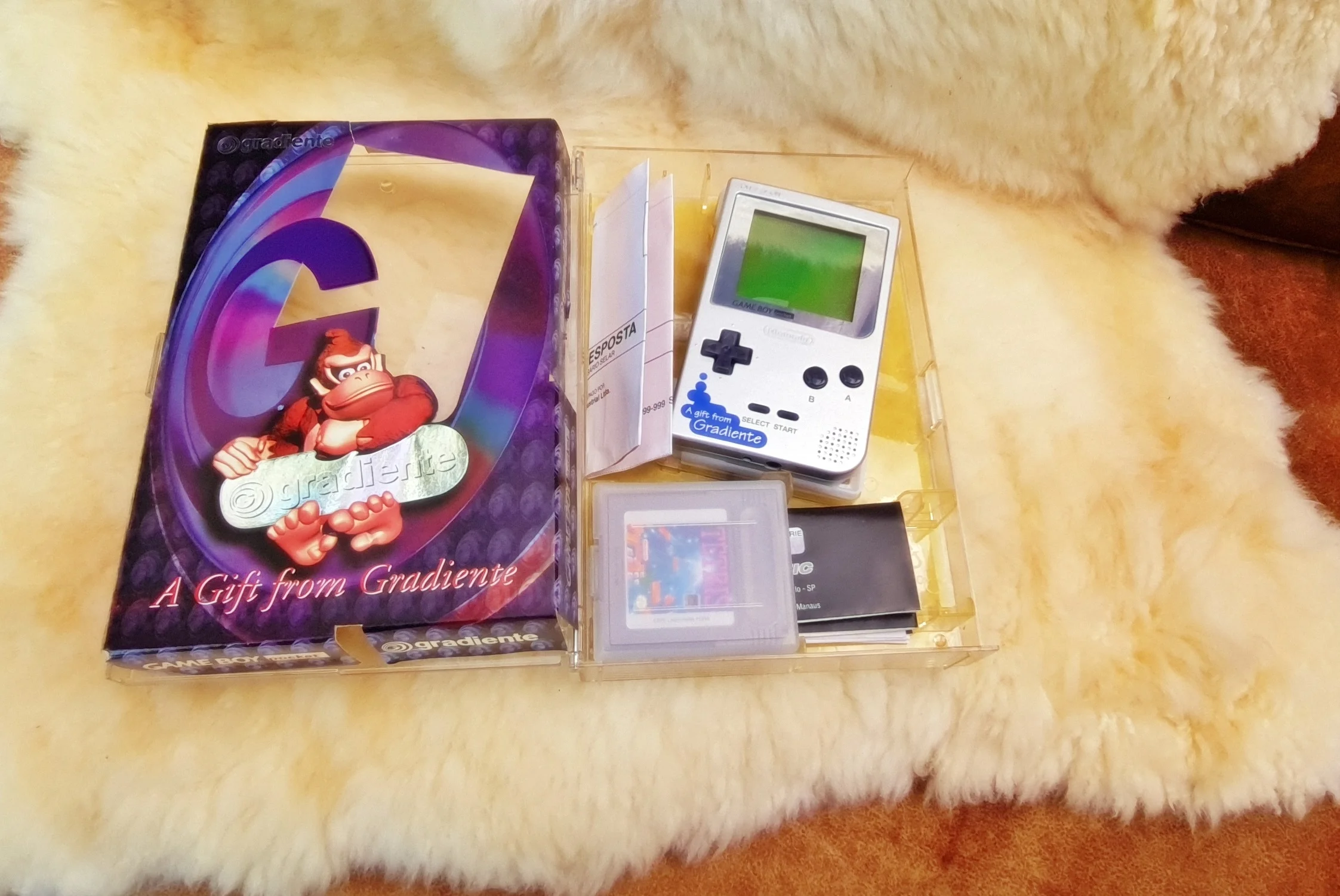  Nintendo Game Boy Pocket a Gift Gradiente Console