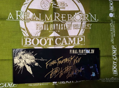 Sony PlayStation 4 FFXIV A Realm Reborn Bootcamp Faceplate [JP]