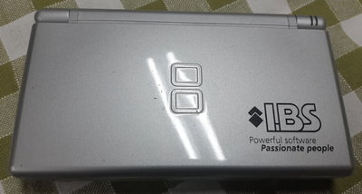 Nintendo DS Lite IBS Console