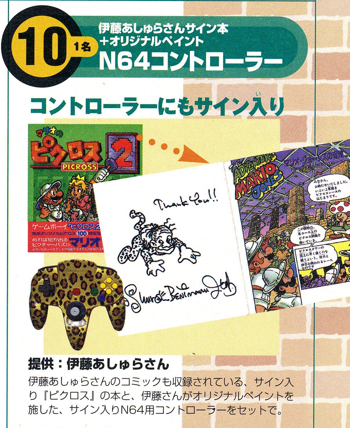 Nintendo 64 Nintendo Dream Leopard Controller