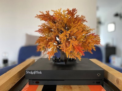 Microsoft Xbox One X Shaka Ponk Console