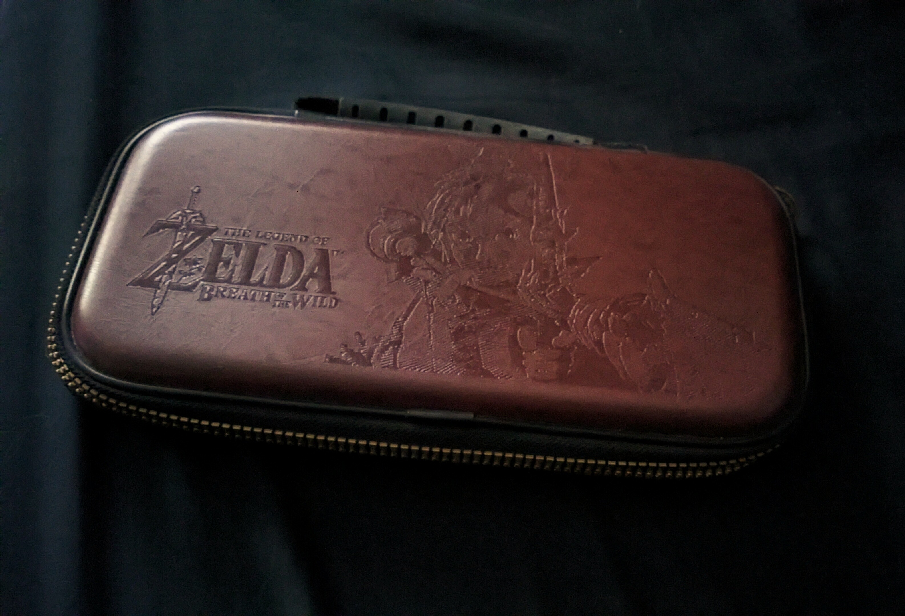  Nintendo Switch Breath of the Wild Case