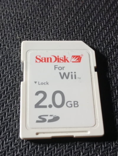 Nintendo Wii SanDisk 2 GB SD Card