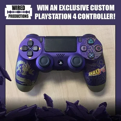 Sony PlayStation 4 Shaq Fu Controller