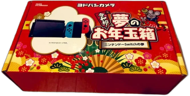  Nintendo Switch Yodobashi Camera JAPAN 2020 Console