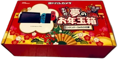 Nintendo Switch Yodobashi Camera JAPAN 2020 Console