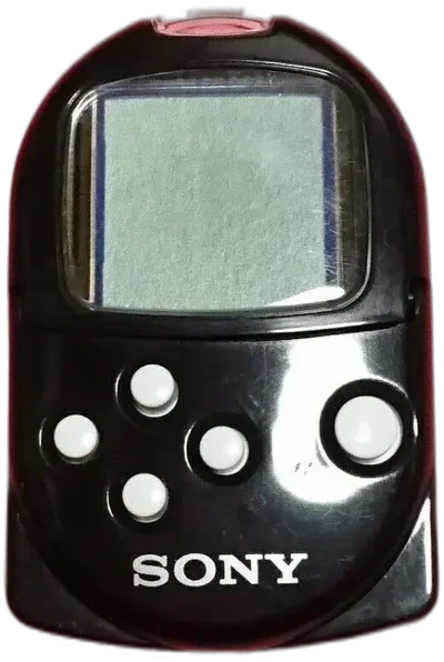 Sony PlayStation Black Pocket Station