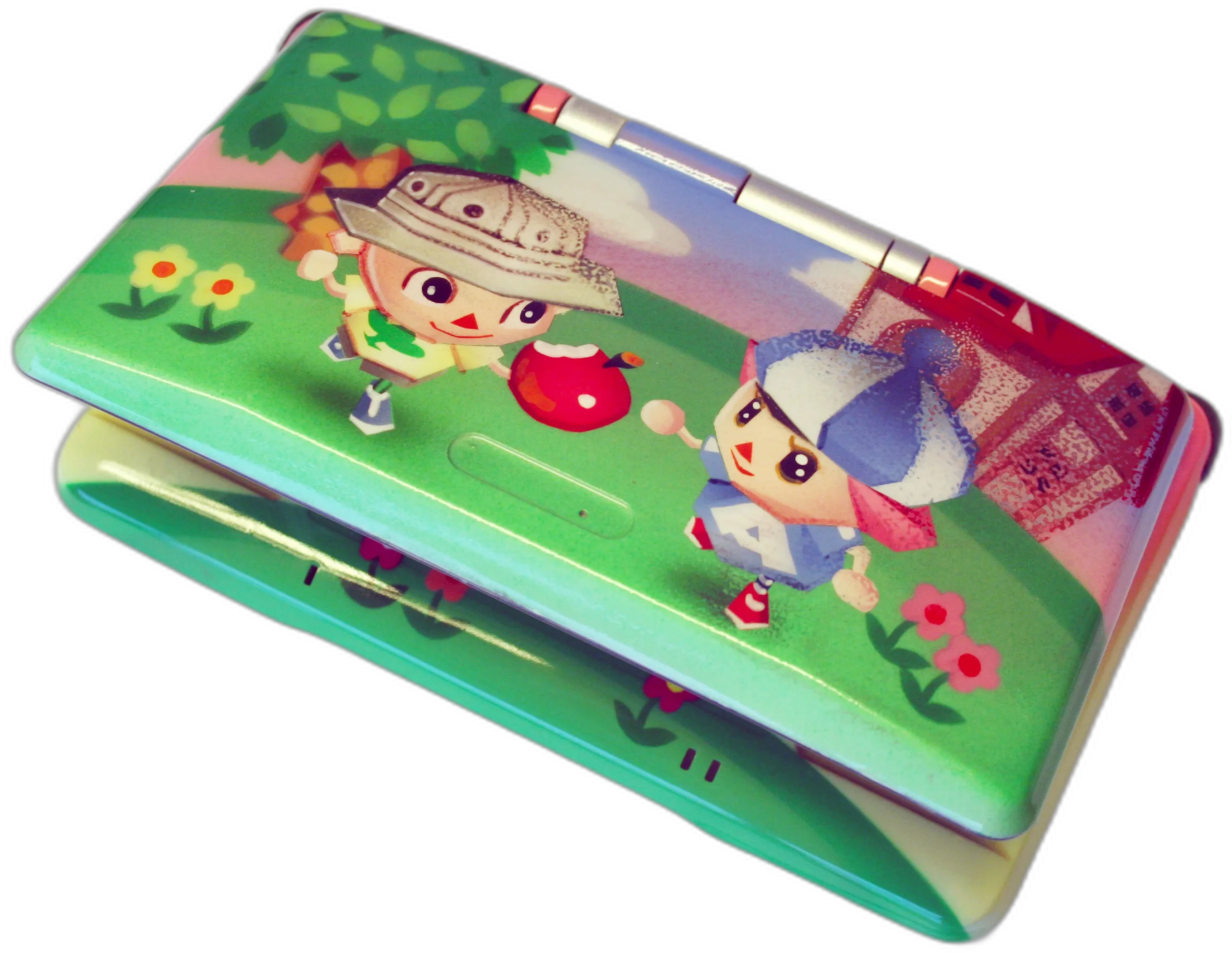  Nintendo DS Animal Crossing Wild World Summer Console
