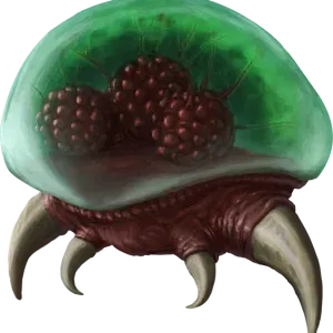 Collector Image